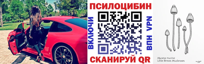 Псилоцибиновые грибы мицелий  Стародуб 